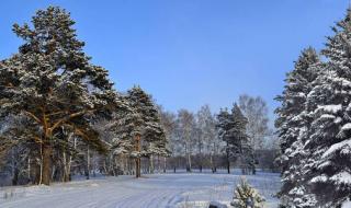 雪后的阳光