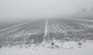 冬天下雨天打雷有什么征兆