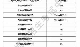 盐都大冈中学2oo3年中考录取分数线