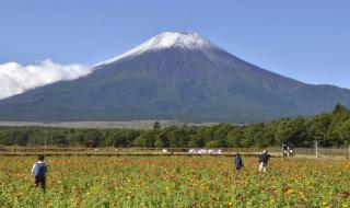 有什么方法能阻止富士山爆发