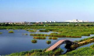 宜居城市特点