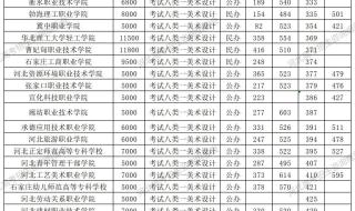 河北单招学校专业代码怎么查询